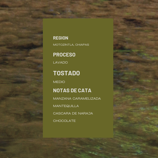 Café Chiapas Motozintla 250 grs