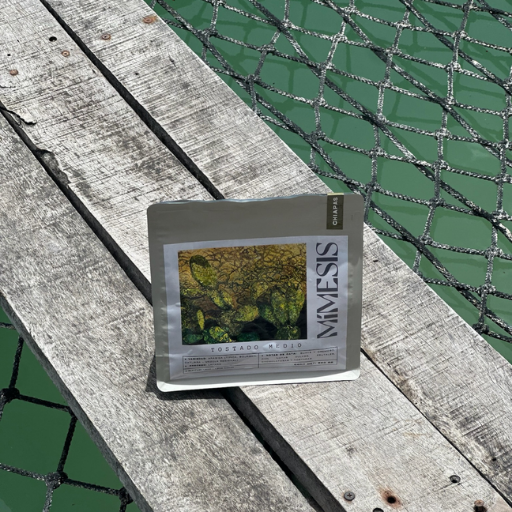 Café Chiapas Motozintla 500 grs